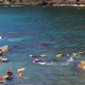 たけのスノーケルセンター スノーケル風景
