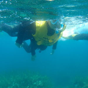 たけのスノーケルセンター スノーケル風景
