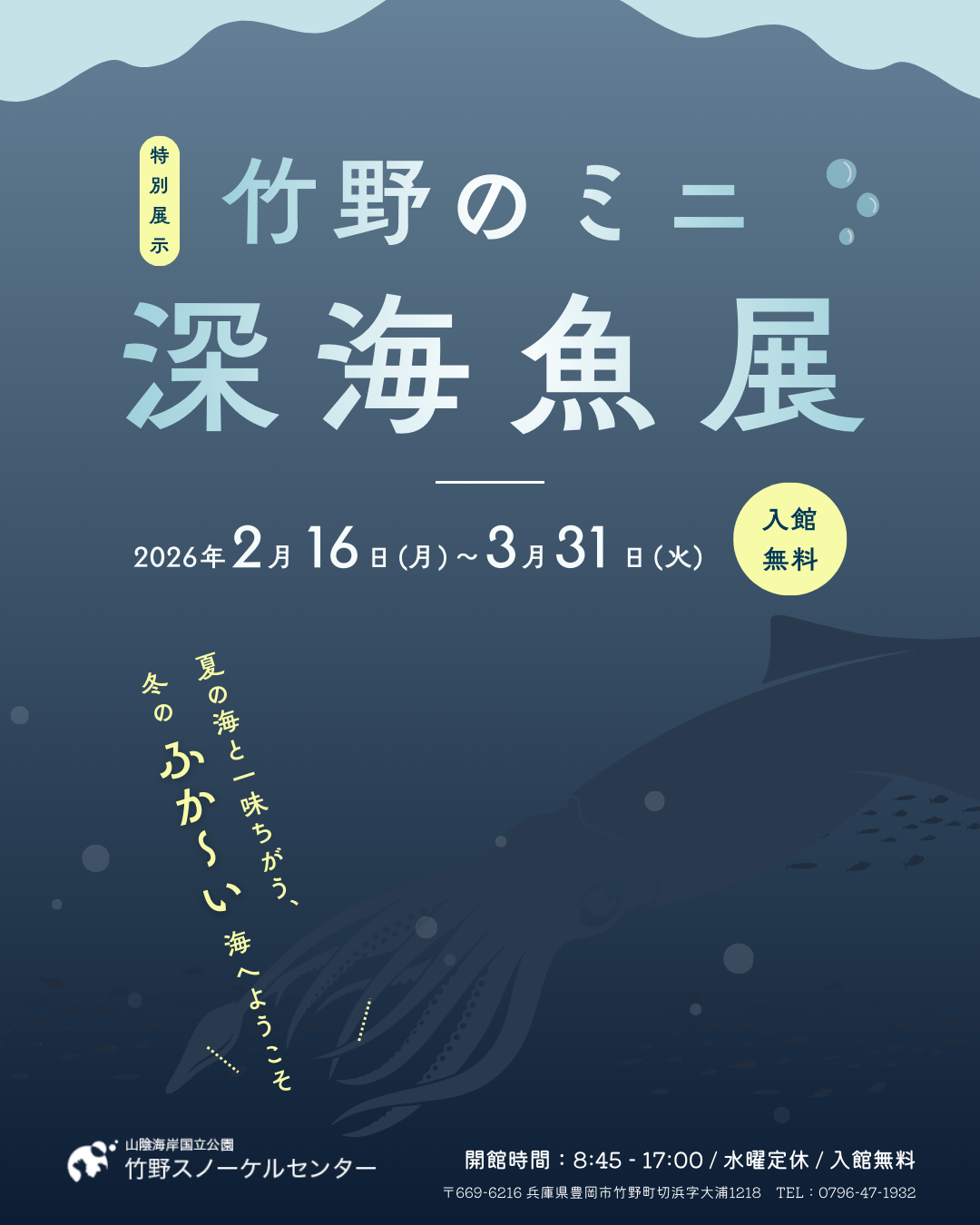 【2/16 – 3/31まで！】『竹野のミニ深海魚展』を開催します！